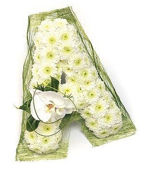 Letter Tribute